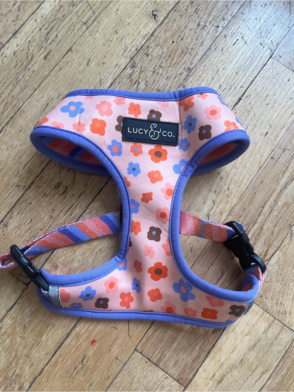 Lucy & Co. Reversible Pink Floral Dog Harness with Purple Trim - Picture 1 of 2